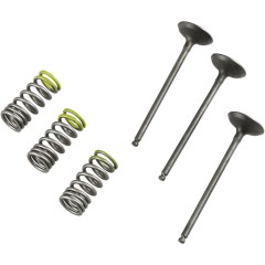 PROX KIT JEKLENI VENTILI Z VZMETMI - SESALNI (3)  YAMAHA YZF / WRF 250 2001 - 2013